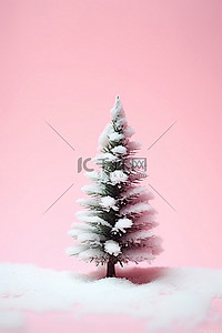 粉红色背景中雪中的一棵小圣诞树