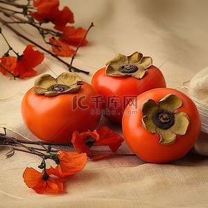 花和叶背景图片_织物上有干花和叶的两个红柿子