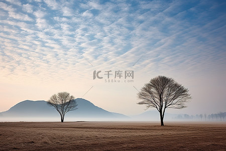 上午背景图片_上午十点左右，山地里的三棵孤树