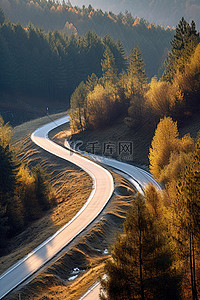 蹄背景图片_树上蜿蜒的道路