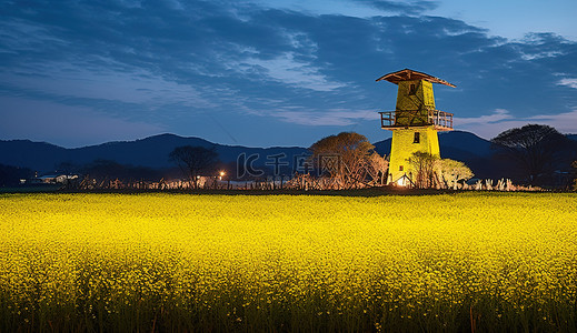 夜间芥菜花田中央的一座旧木塔