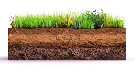 风景上背景图片_白色背景上横截面土壤层的孤立 3D 插图顶部的绿草