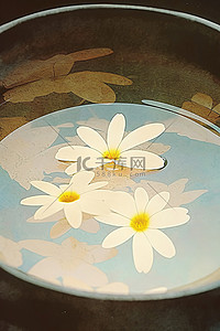 一碗棕色的水，一朵花漂浮在水面上