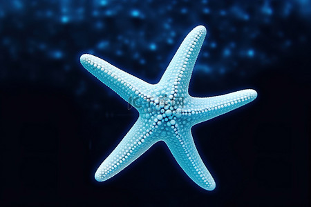 游泳背景图片_一只海星在海里游泳