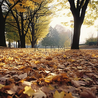公园里展示了秋天的一天
