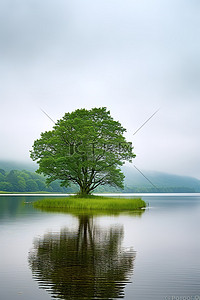 湖上游船卡通背景图片_湖上只有一棵树