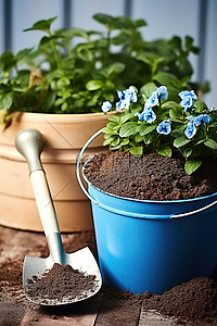 盆盆背景图片_一盆花旁边有一个装土和种植盆的桶