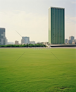 高楼大厦前的一大片绿地