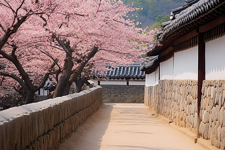 樱花街道背景图片_利川风景村是一条狭窄的街道，有石头建筑和树木