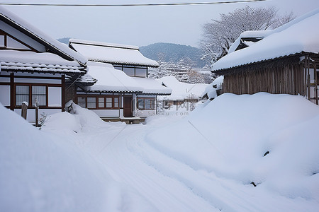 雪王背景图片_许多房屋被厚厚的雪覆盖