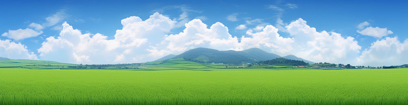 微微一笑很清楚背景图片_绿色稻田和蓝天白云的背景