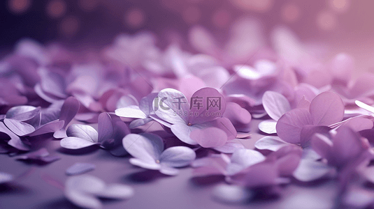 飘落的花瓣紫色花瓣