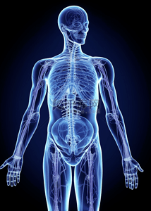 人体医疗背景图片_医疗实验室人体结构蓝色背景