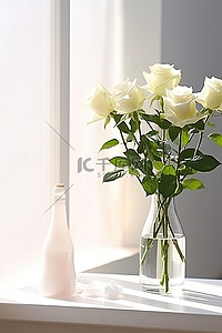 白玫瑰背景图片_窗前的桌子上花瓶里插着白玫瑰