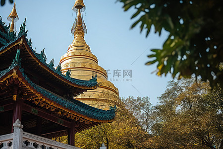 一座金塔，上面有鲜花，树木覆盖