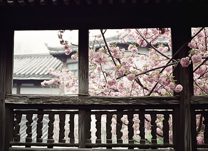 就背景图片_房子里的树开花，就像有黑白栏杆的窗户一样