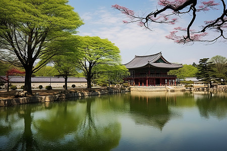 楼背景图片_美丽的宫殿，周围有公园，池塘里长着树木