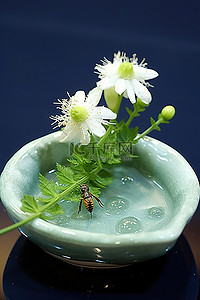 一个白色的小碗和一些白色的花