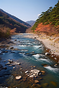 沿着樱花河从山上流下来的河流