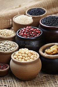 地毯上的罐子和垃圾箱里有不同种类的豆子和一些豆子