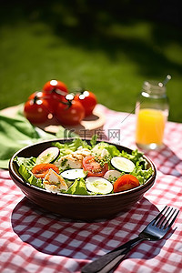 野餐时餐桌上的彩色沙拉配新鲜西红柿