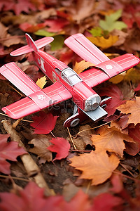 躺在树叶上的玩具飞行飞机