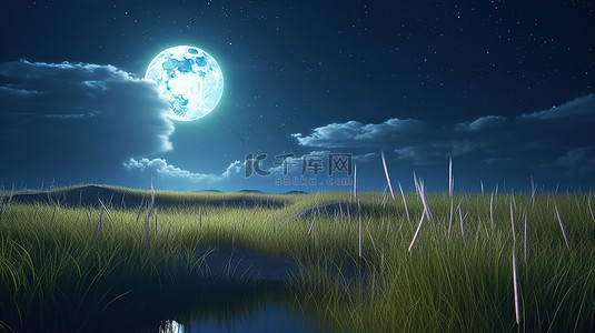 令人惊叹的 3D 夜景满月星星和茂密的草地上的幻想风景
