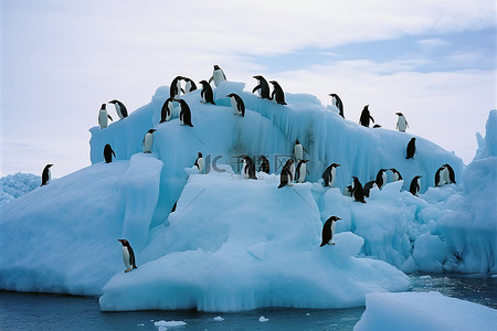 中共一大背景图片_冰山上有一大群企鹅