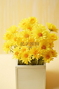 浅黄色背景下白色木盒中的黄色花朵