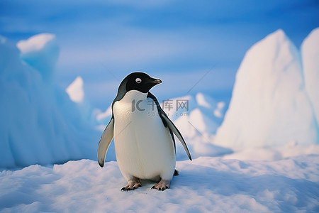 留住年轻背景图片_冰原上的年轻帝企鹅