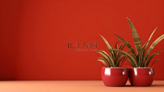 红色花卉盆栽背景图片_充满活力的彩色盆栽室内植物设置在大胆的红色背景空白空间上，为您的信息提供惊人的逼真 3D 渲染