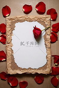 将红玫瑰花瓣和一张纸放在盘子上