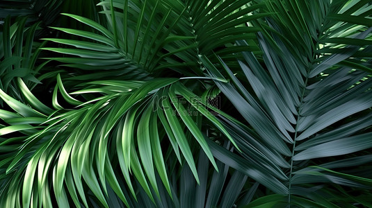 夏天大森林背景图片_3d 渲染绿色棕榈植物的孤立背景