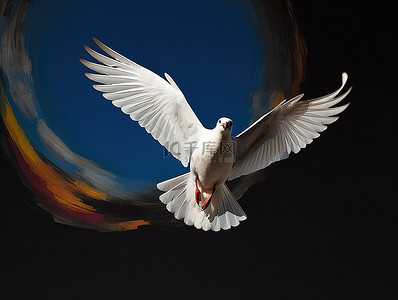 一只白色的鸟，翅膀黑白相间，飞翔