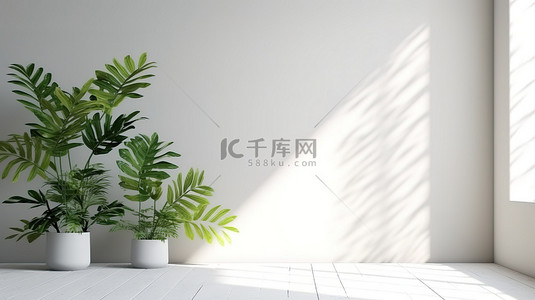 模板家具背景图片_阳光照射的白墙模型装饰着叶影 3D 渲染