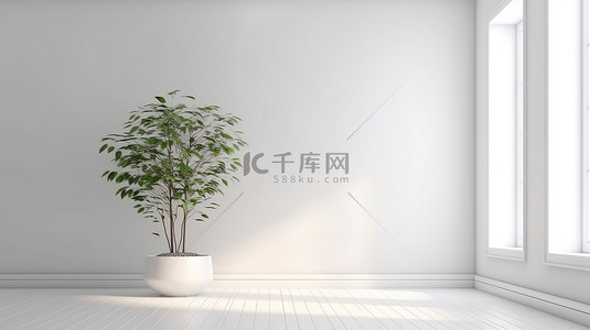 盆栽植物背景图片_3D 渲染中带盆栽植物的简约空间
