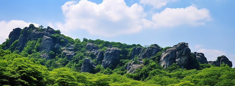 兰天下的猫背景图片_蓝天下的森林和云彩的山景