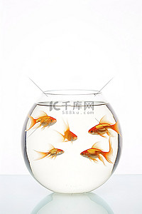 一些金鱼在碗里游泳