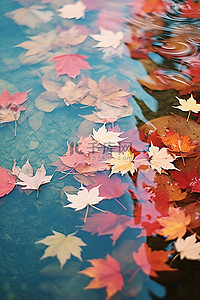 秋叶漂浮在湖边附近
