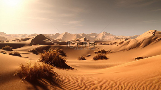 热带干旱地区沙漠阳光
