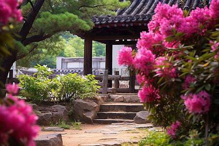 牡丹背景图片_传统的 Echiang 韩国花园，有粉红色的花朵和绿树