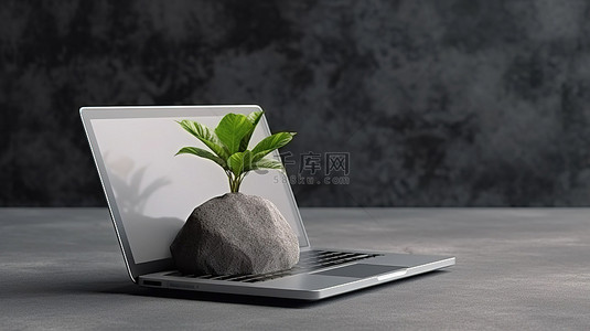 绿色电脑桌面背景图片_从混凝土地板上俯视的笔记本电脑和植物的真实 3D 渲染