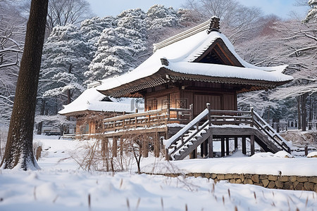 亚洲风格的结构，雪上有草和树