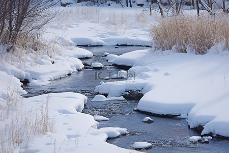 一条白雪覆盖的小溪，看起来像小池塘