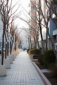 住宅区背景图片_住宅区的公共人行道