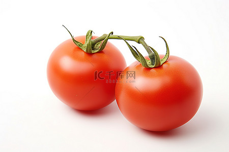 白色背景中的两个西红柿