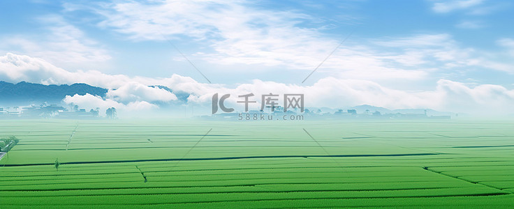 从空中看到一片绿色的稻田