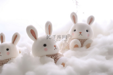 精选兔子短剧推荐，免费观看乐趣无穷，免费观看，乐趣无穷，精选兔子短剧推荐