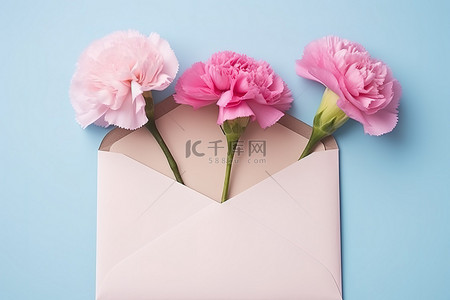 母亲节康乃馨背景图片_信封里的粉色康乃馨花