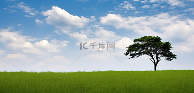 一棵孤独的树坐落在绿草覆盖的田野中央